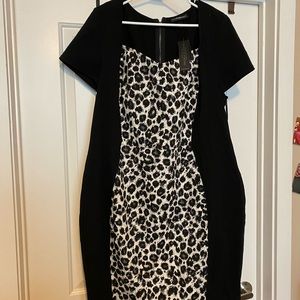 form fitting professional dress